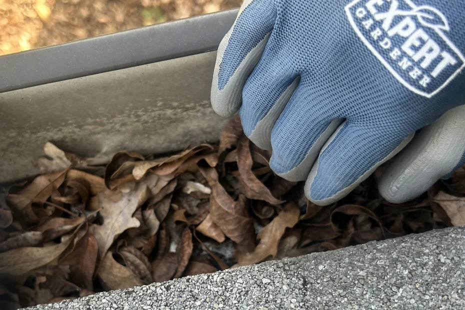 Gutter Cleaning Boerne TX