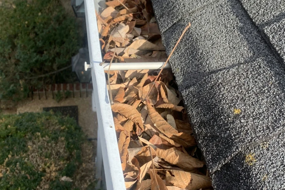 Gutter Cleaning Boerne TX