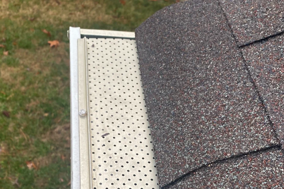 Gutter Cleaning Boerne TX